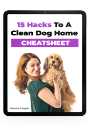 Digital ebook