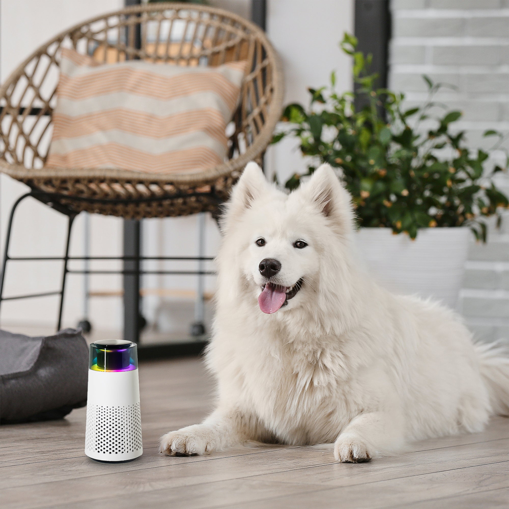 White dog beside the rounded Pet Air Purifier