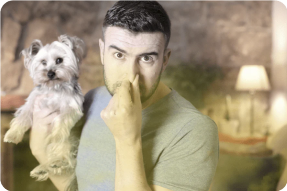 Pet parent holding his dog in a room with lingering pet odor