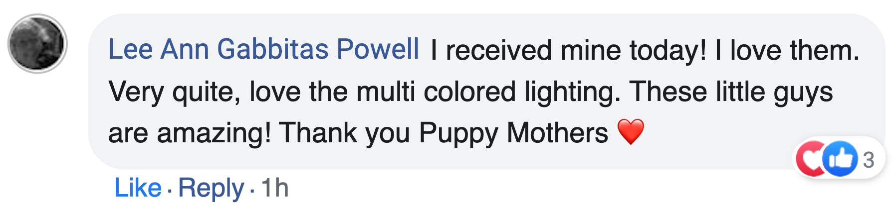 Lee Ann Gabbitas Powell's original review
