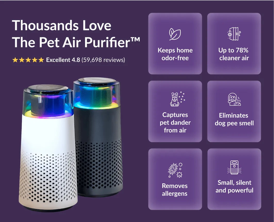Rounded Pet Air Purifier benefits
