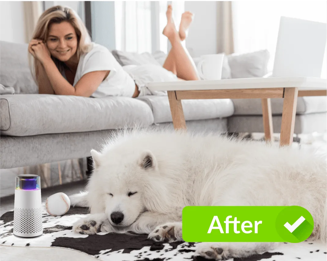 After: woman on couch with white dog and rounded Pet Air Purifier